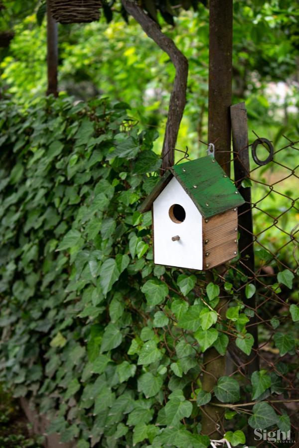 Ferienwohnung Tibash House Darch'eli Exterior foto